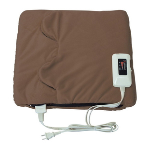 ホットクッション