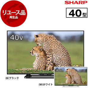 薄型テレビ・液晶テレビ