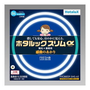 白熱電球・蛍光灯