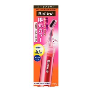 白髪染め（グレーカラー）