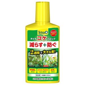 水槽・アクアリウム