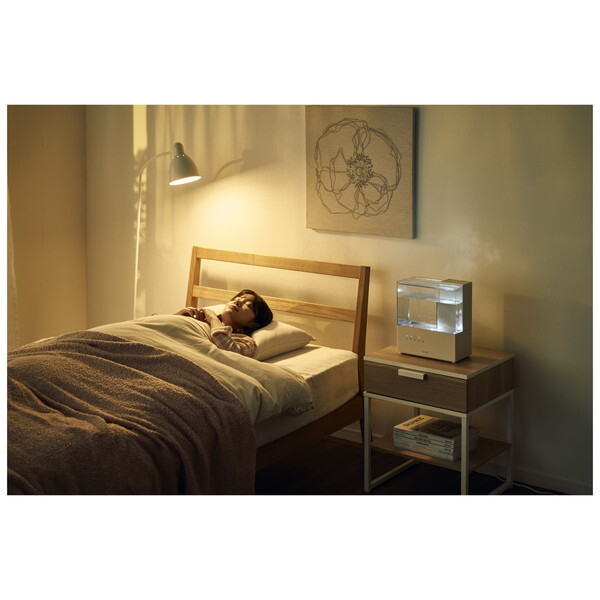 QUADS QS562IV アイボリー ERU MOIST CLEAR (エルモイストクリア) 上部