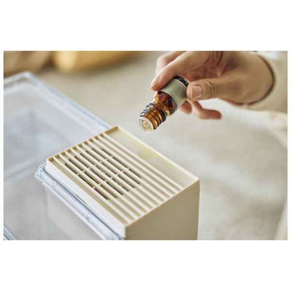 QUADS QS562IV アイボリー ERU MOIST CLEAR (エルモイストクリア) 上部