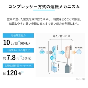 SHARP CM-P100-W ホワイト プラズマクラスター [衣類乾燥除湿機(木造11