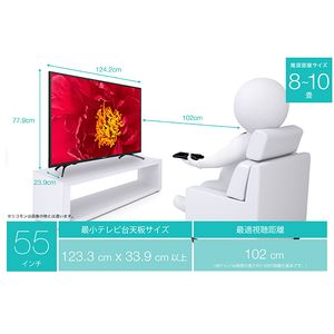 Hisense 55F60E F60Eシリーズ [55V型 地上・BS・110度CSデジタル 4K