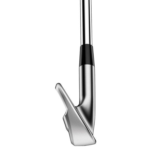 日本正規品】 タイトリスト T100S アイアン単品 2021年モデル N.S PRO