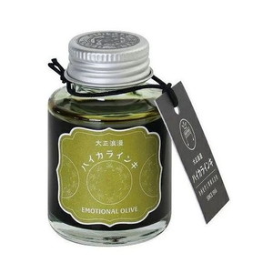 万年筆・インク