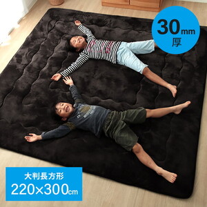 カーペット・ラグ