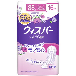 失禁パンツ（福祉介護）