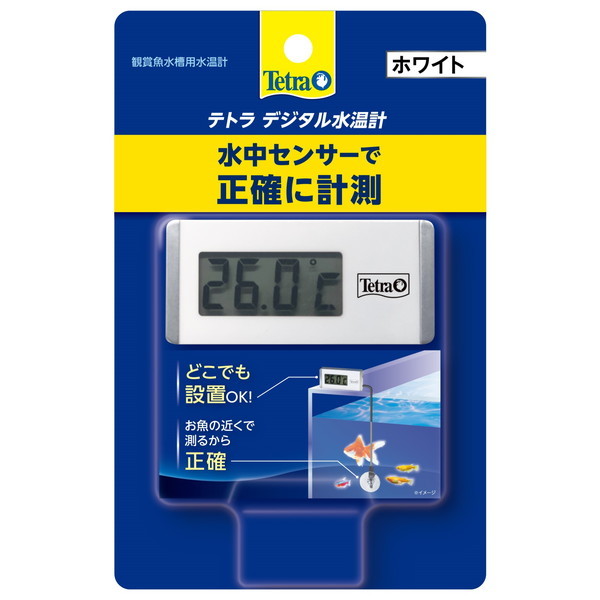 yeBI fW^v zCg WD-1