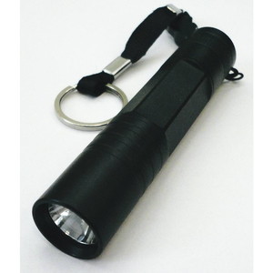 ハンディライト