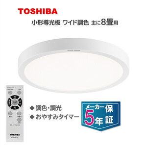 シーリングライト