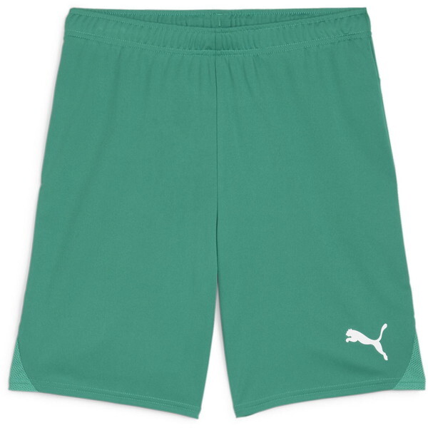 PUMA �v�[�} �T�b�J�[�p���c TEAMGOA �Q�[���p���c �O���[�� L 706377 05