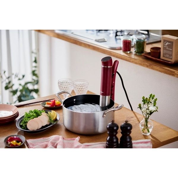 アイリスオーヤマ LTC-02-R カシスレッド [スリム低温調理器] | 激安の