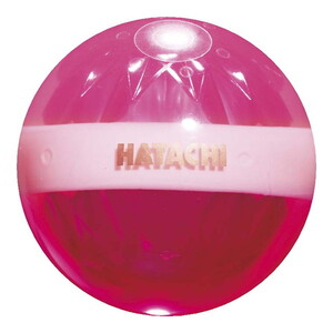 その他スポーツ用品