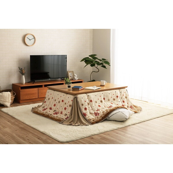 CPqRER[|[V 1170280141021 zc  ȃXy[X ` mfBbN dCߖ ӂӂ Ȃ߂炩 AC{[  160×160cm