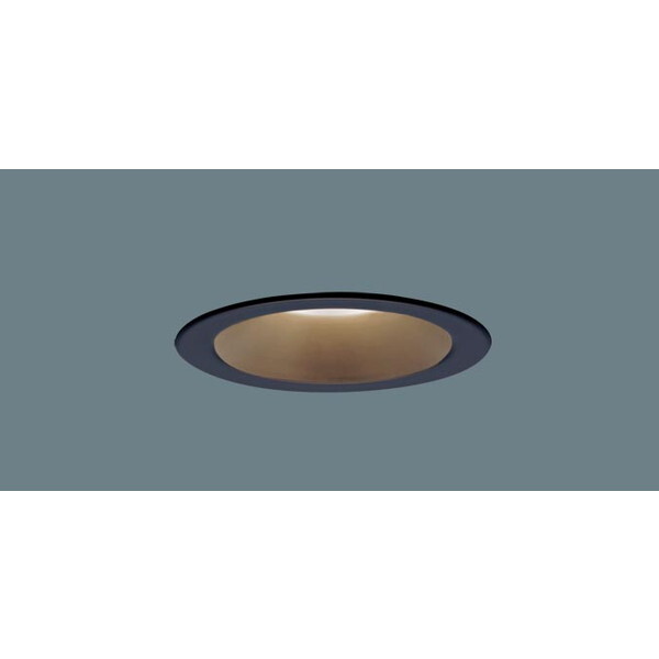 PANASONIC LGD1109LLE1 [LED�_�E�����C�g (�d���F)]