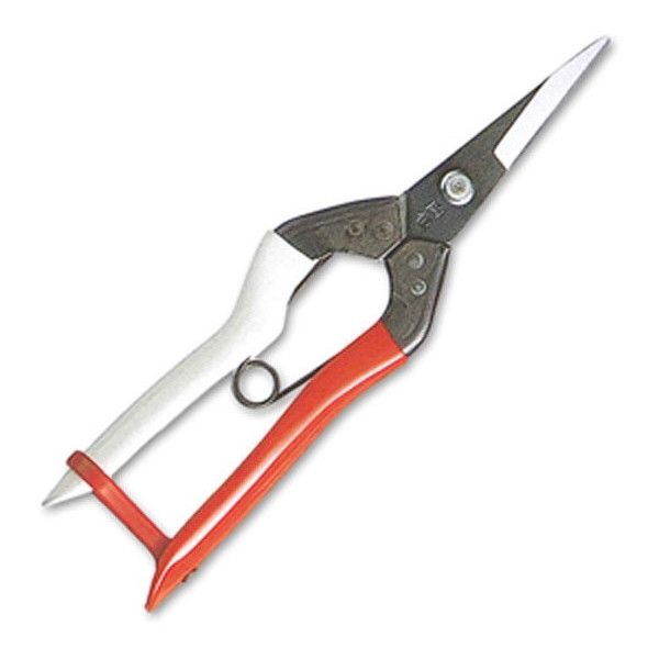 P  NO.304 S190mm n45mm d110g ObvFg