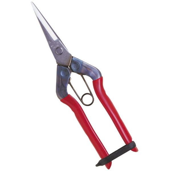 ߐ T-550S Xe 뒼n BP