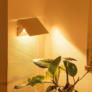 その他天井照明