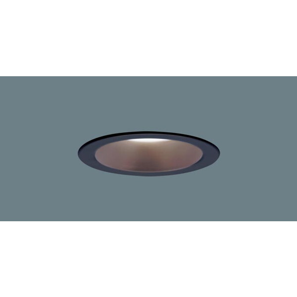 PANASONIC LGD1109VLE1 [LED�_�E�����C�g (�����F)]