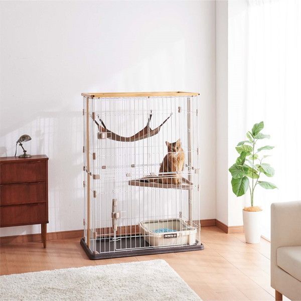 Amazon | ボンビアルコン (Bonbi) ウッドワンサークル キャット
