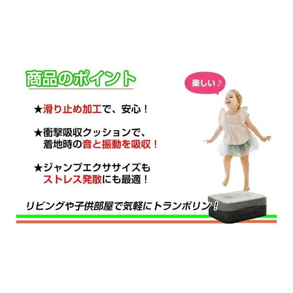 ヒロコーポレーション DLBC21307 グレー×ブラック クッション