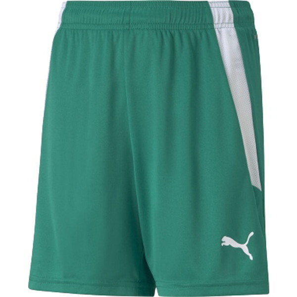 PUMA �v�[�} �T�b�J�[�p���c TEAMLIGA �Q�[���p���c �O���[�� 140cm 705145 05