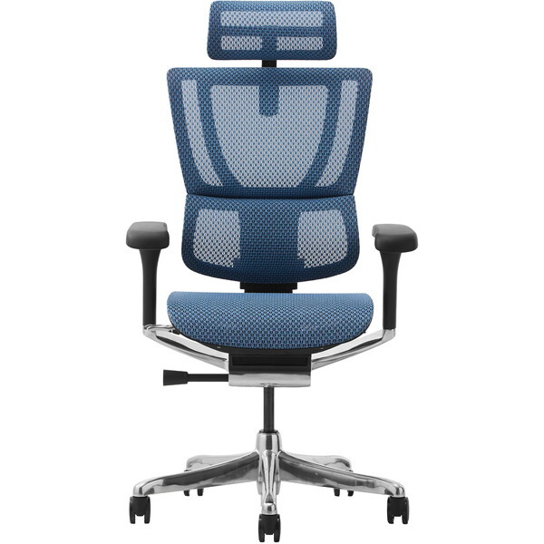 ։Ƌ 454405 Ergohuman FIT2-HAM-DR-BF-BL ubNt[×u[ [ItBX`FA]