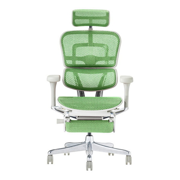 �։Ƌ� 445405 EHP2-LPL-DR-GF-GN �O���[�t���[��×�O���[�� [���@�\�`�F�A (�G���S�q���[�}�� �v��2 �n�C�^�C�v �I�b�g�}��)]