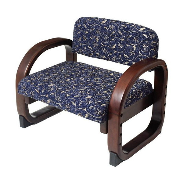 �R�W�b�g �v�������~�֎q ��