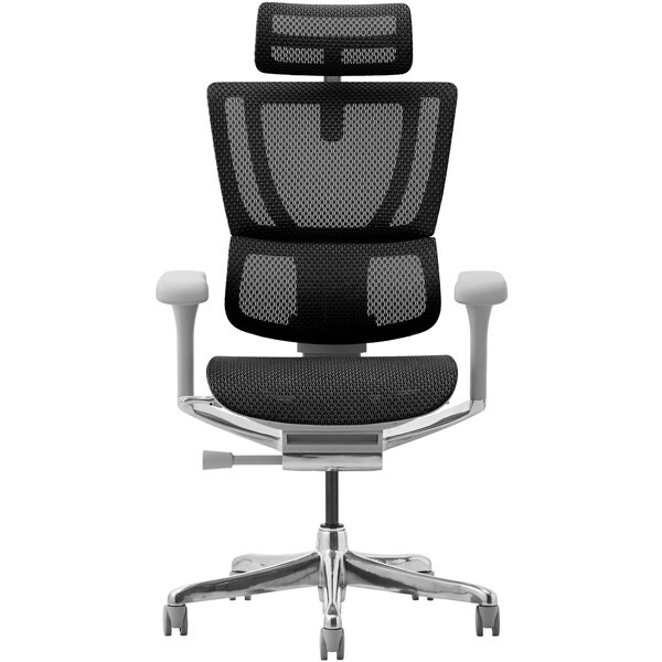 ։Ƌ 454407 Ergohuman FIT2-HAM-DR-GF-BK O[t[×ubN [ItBX`FA]