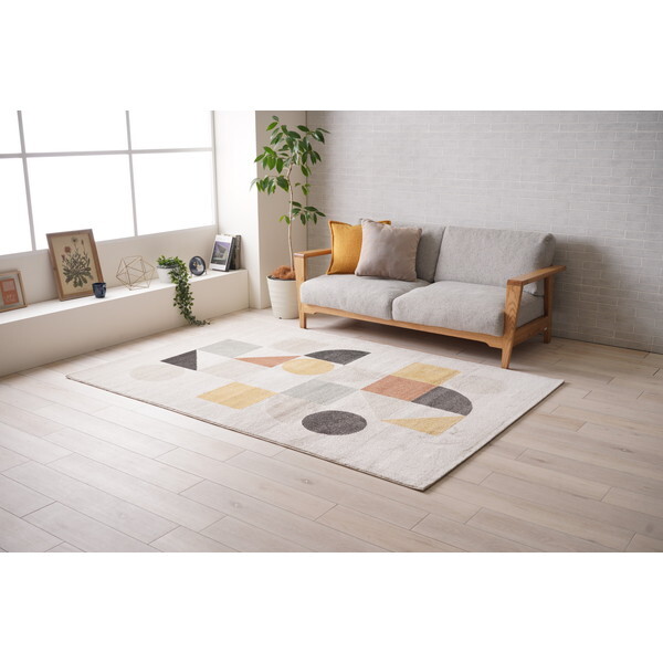 CPqRER[|[V 1321660010601 iJ 200×250 AC{[ [EBgO]