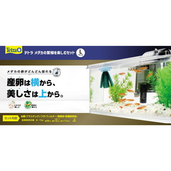 yeBI _J̔ɐByރZbg L