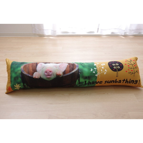 CPqRER[|[V 1193560373015 s[ 􂦂 炩 wfW^vgx 30×110cm