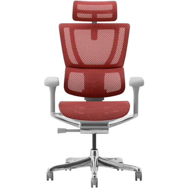 ։Ƌ 454409 Ergohuman FIT2-HAM-DR-GF-RD O[t[×bh [ItBX`FA]