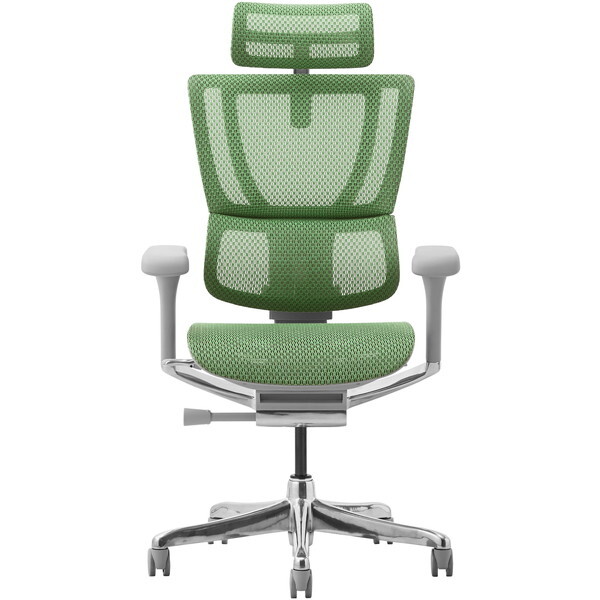 ։Ƌ 454411 Ergohuman FIT2-HAM-DR-GF-GN O[tt[×O[ [ItBX`FA]