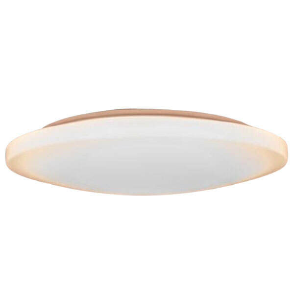 ���{�h�ЃX�L�[�� �V�� tsuita TC102  [�m��LED�V�[�����O���C�g (�`8��/���F�E����) �����R���t��]