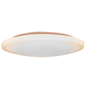 シーリングライト