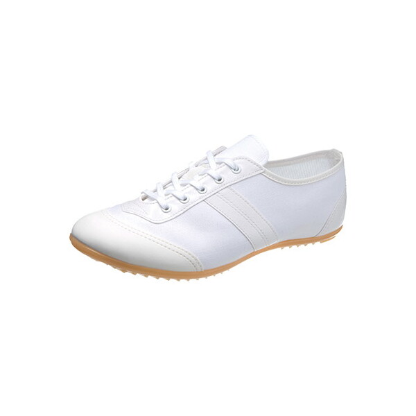 �A�T�q�V���[�Y �A�T�q 504(�z���C�g) KF37031 18cm