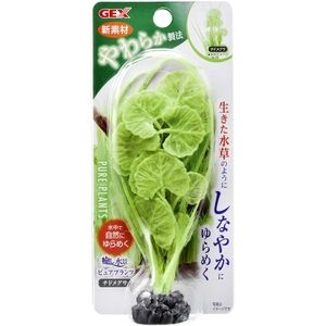 水槽・アクアリウム