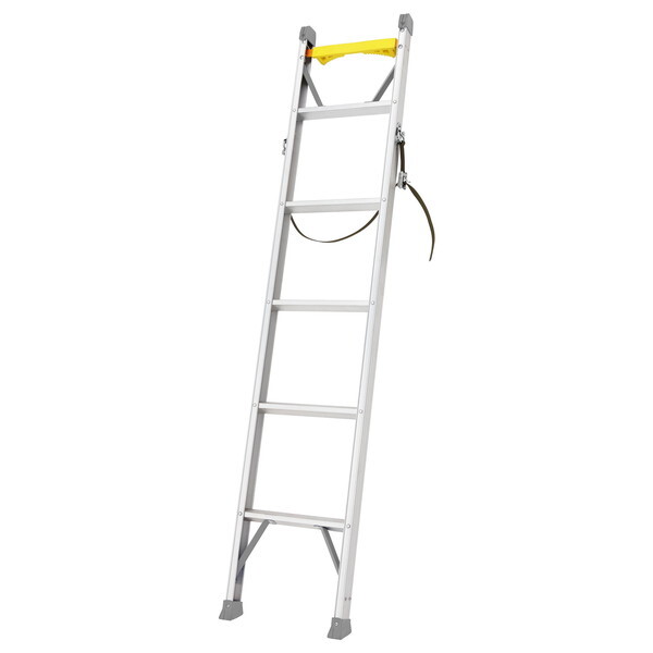 y@l(lzs)zJH d~p1A͂ 1.83m SxgAoht