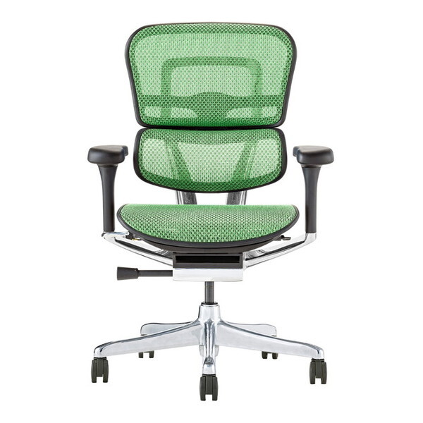 ։Ƌ 445420 EHP2-LAM-DR-BF-GN ubNt[×O[ [@\`FA (GSq[} v2 [^Cv)]