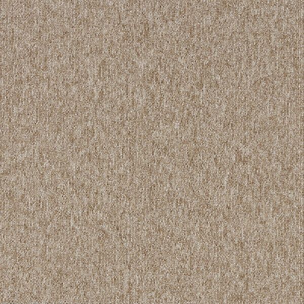 X~mG ^CJ[ybg ECOS LP2003N 50×50cm 20 13248766