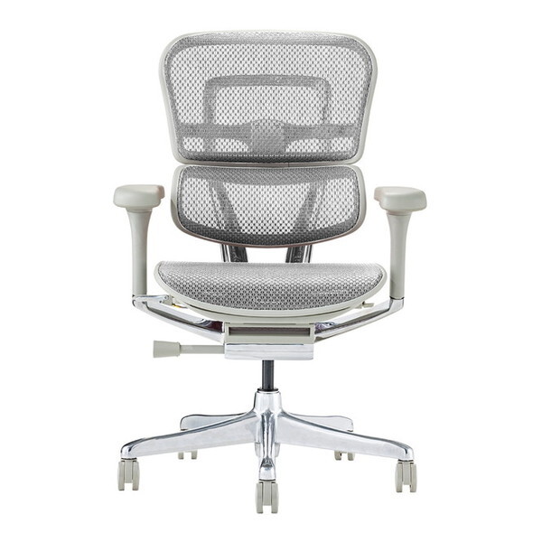 ։Ƌ 445422 EHP2-LAM-DR-GF-WH O[t[×zCg [@\`FA (GSq[} v2 [^Cv)]