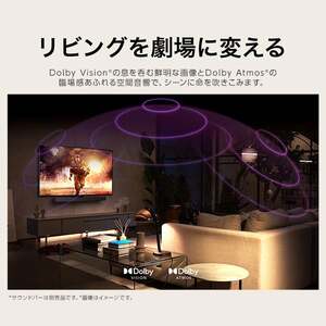 LGエレクトロニクス OLED48C3PJA [48V型 地上デジタル・ BS・CS LGエレクトロニクス OLED48C3PJA [48V型 地上デジタル・ BS・CS