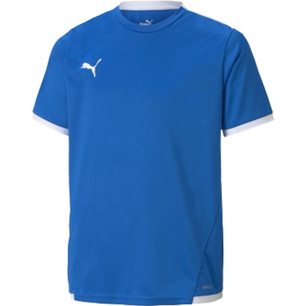 PUMA v[} TbJ[Vc TEAMLIGA Q[Vc JR u[ 140cm 705144 02