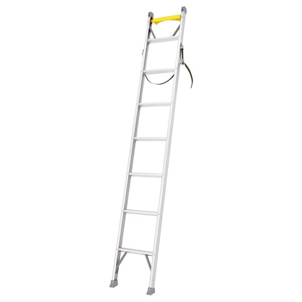 y@l(lzs)zJH d~p1A͂ 2.45m SxgAoht