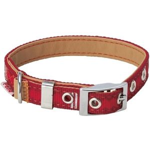 犬用首輪・胴輪・リード