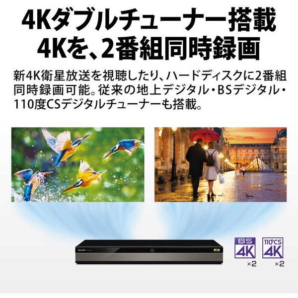 オンラインストア正本 AQUOS Blu-ray 4Kレコーダー 4B-C20DT3 ジャンク